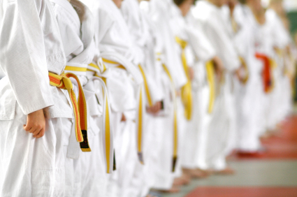 Martial Arts Insurance in Denver, Summit County, CO